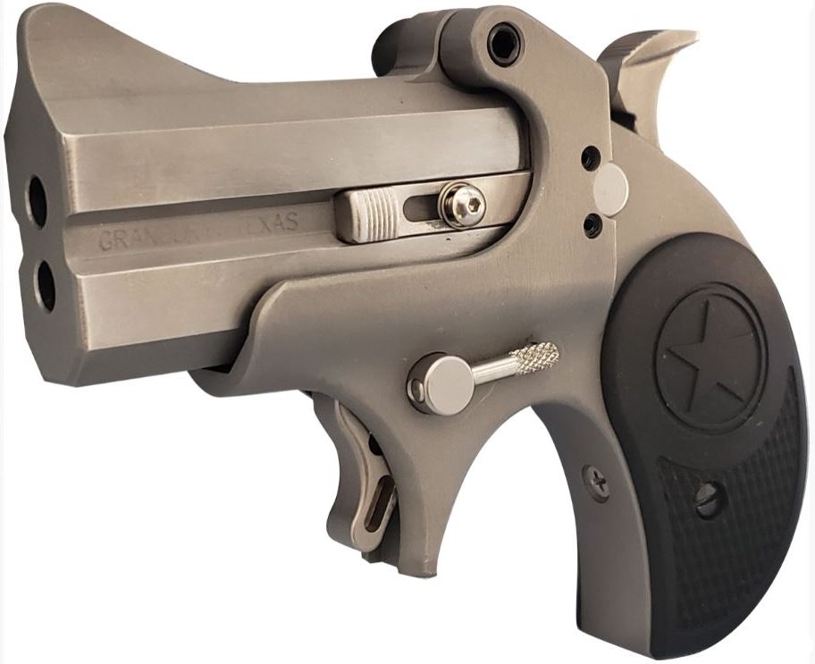 Bond Arms Rawhide .22 LR Stainless/Silver Derringer
