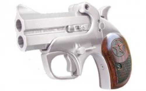 Bond Arms Texas Defender Break-Open .22 WMR Stainless Derringer