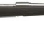 Savage 16/116 FCSS Bolt 243 Win 22" Barrel, Accustock Black Stock Stainless Ste, 4rd