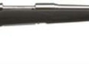 Savage 16/116 FCSS Bolt 243 Win 22" Barrel, Accustock Black Stock Stainless Ste, 4rd