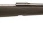 Savage 11/111 FCNS Bolt 308 Win/7.62 NATO 22" Barrel, Accustock Black Stock Blued, 4rd
