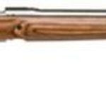 Savage Model 12 Varminter Low Profile .204 Ruger 26 Inch Stainless Steel Barrel Detachable Box Magazine Laminated Stock Twelve Inch Twist 4 Round