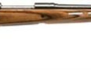 Savage Model 111 Hunter Series .270 Winchester 22 Inch Barrel Satin Blue Finish Accutrigger Thumbhole Laminate Stock 4 Round