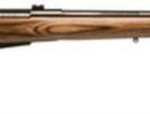 Savage Model 25 Lightweight Varminter .204 Ruger 24 Inch Barrel Satin Blue Finish Detachable Box Magazine Brown Laminate Stock 4 Round