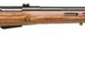 Savage Model 25 Lightweight Varminter T .204 Ruger 24 Inch Barrel Satin Blue Finish Detachable Box Magazine Brown Laminate Thumbhole Stock 4 Round