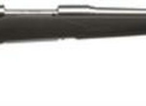 Savage Model 116 Weather Warrior Series .25-06 Remington 22 Inch Stainless Steel Barrel Detachable Box Magazine Black Synthetic Accustock 4 Rounds