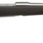Savage Model 16 Weather Warrior 6.5 Creedmoor, 22" SS Barrel, Accustock, Detachable Mag 4rds