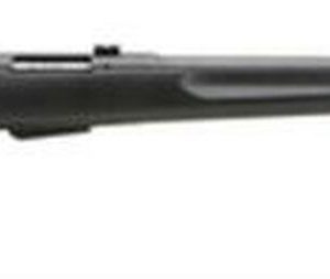Savage Model 25 Walking Varminter .222 Remington 22 Inch Barrel Satin Black Synthetic Stock Accutrigger 4 Round