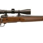 Savage Model 10 Trophy Hunter XP Package .270 Winchester 22" Blued Barrel Wood Stock Includes Nikon 3-9x40mm Riflescope Mounted 4rd