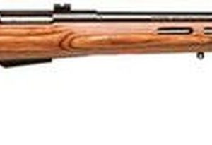 Savage 25 Lightweight Varmint Bolt 17 Hornet 24" Laminate TH Stock Blued