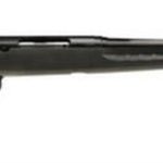 Savage Arms Axis SR .308 Win, 20" Threaded Barrel, 5/8-24 TPI, Blued, Box Mag, Black Stock, 4rd