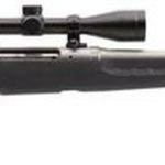 Savage Axis II 223 Remington, With 3X9X40 Scope, 22" Barrel, Stainless Steel, 4+1, Synthetic Black