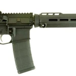 Savage MSR 15 Patrol AR-15 .223/5.56 16 Barrel Blackhawk Furniture 30rd Mag