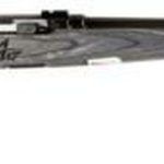Savage A17 Sporter 17hmr Bl/blk 22