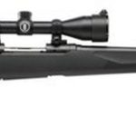 Savage 10/110 Engage Hunter XP 243 Winchester, With 3X9X40 Scope, 22" Barrel,, , Synthetic, Black, 4 rd