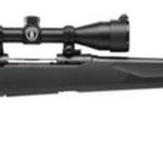 Savage 10/110 Engage Hunter XP 270 Winchester Short Magnum (WSM), With 3X9X40 Scope, 24" Barrel,, , Synthetic, Black, 2 rd
