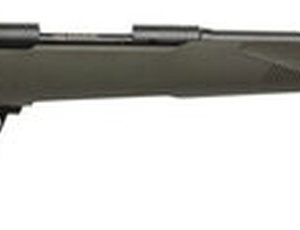 Savage 10/110 Hog Hunter 223 Remington/5.56 NATO, 20" Barrel,, , AccuFit OD Green Stock, 4 rd
