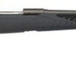 Savage 10/110 Hunter 204 Ruger, 22" Barrel,, , AccuFit Gray Stock, 4 rd