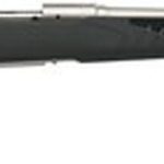 Savage 10/110 Storm 223 Remington/5.56 NATO, 22" Barrel, Stainless Steel,, , AccuFit Gray Stock, 4 rd