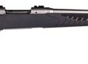 Savage 10/110 Storm 22-250 Remington, 22" Barrel, Stainless Steel,, , AccuFit Gray Stock, 4 rd