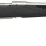 Savage 10/110 Storm 243 Winchester, 22" Barrel, Stainless Steel,, , AccuFit Gray Stock, 4 rd