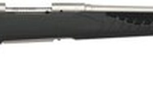 Savage 10/110 Storm 243 Winchester, 22" Barrel, Stainless Steel,, , AccuFit Gray Stock, 4 rd