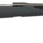 Savage 10/110 Hunter, .280 Ackley, 22" Barrel, 4rd, Gray