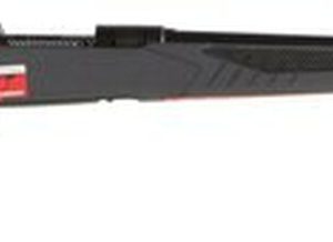 Savage 10/110 Hunter, 6.5 Creedmoor, 24", 4rd, AccuFit Gray Stock