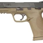 Smith & Wesson MP45 45 ACP Dark Earth Frame, Fixed Sights, 10 Rnd Mag