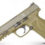 Smith & Wesson M&P .40S&W, 5", M2.0 NTS Flat Dark Earth 15R