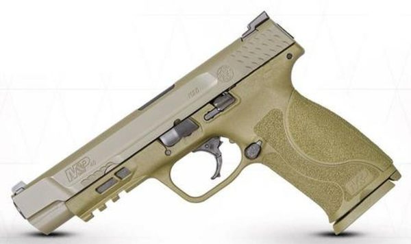 Smith & Wesson M&P .40S&W, 5", M2.0 NTS Flat Dark Earth 15R