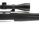 Browning X-Bolt Stainless Stalker Bolt 22-250Rem 22" Barrel, Black Synthetic Blued, 4rd