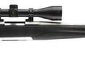 Browning X-Bolt Stainless Stalker Bolt 22-250Rem 22" Barrel, Black Synthetic Blued, 4rd