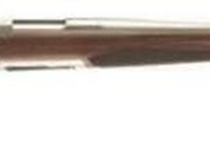 Browning X-Bolt Stainless Hunter Bolt 308 Win 22" Barrel, Walnut Stock, 4rd
