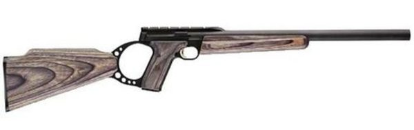 Browning Buckmark Field Target 22LR, Gray Laminate