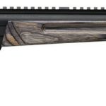 Browning Buck Mark Varmint 22 LR, 10.25" Barrel, Suppressor Ready
