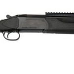 Stoeger Double Defense, O/U 12 Ga, 20" Barrel, Black Synthetic Stock