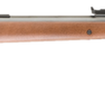 Umarex RWS M34, .22 Pellet, 19.5" Barrel, Single-Shot, Blued
