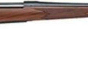 Remington 700 CDL Bolt 300 Win Mag 26, Satin Walnut Stock Blue, 3 rd