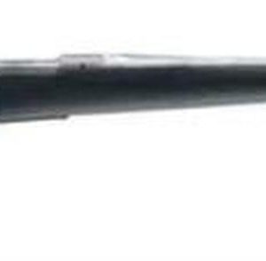 Winchester M70 Extreme Weather SS Bolt 243 Win 22" Barrel, Bell & Carlson, 5rd