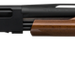 Winchester SXP Field Youth Pump 12 Ga 22" Barrel 3" Grade I Walnut Stock Black Aluminum Alloy