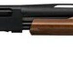 Winchester SXP Field Youth, Pump-Action 20 Ga, 20", 3", 5rd, Grade I Walnut