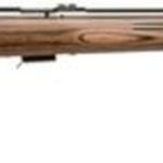 Savage Mark II Btvs 22LR 21 Inch Barrel Stainless Steel Finish Laminated Thumbhole Stock Accutrigger 5 Round Mag