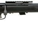 Savage Mark II FV-SR 22LR 16.5" Threaded Barrel, Sight Rail, Accutrigger, 5 Round