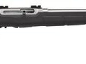 Savage A22 FSS .22 LR, 22" Barrel, Synthetic Black Stock, Stainless Steel, 10rd