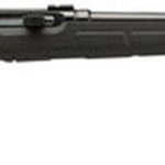 Savage A17 HM2 17 HM2 (Hornady Mach 2), 20" Barrel, Black Color, Black Polymer Stock, Detachable Rotary Magazine