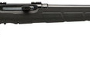 Savage A17 HM2 17 HM2 (Hornady Mach 2), 20" Barrel, Black Color, Black Polymer Stock, Detachable Rotary Magazine