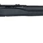Savage B22 Magnum F Bolt 22 WMR 21" Barrel, Synthetic Black Stock Black, 10rd