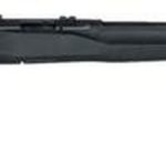 Savage B17 F Bolt 17 Hornady Magnum Rimfire (HMR) 21" Barrel, Synthetic Blac, 10rd