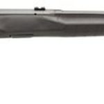 Savage B17 F .17 HMR, 21"Barrel, Synthetic Black Stock, Blued, Left-Handed, 10rd